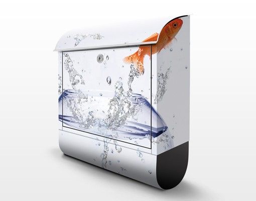 Letterbox - Flying Goldfish
