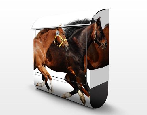 Letterbox - Horse Herd