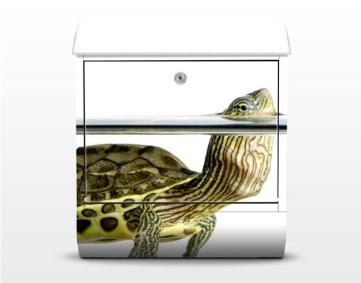 Letterbox - Turtle
