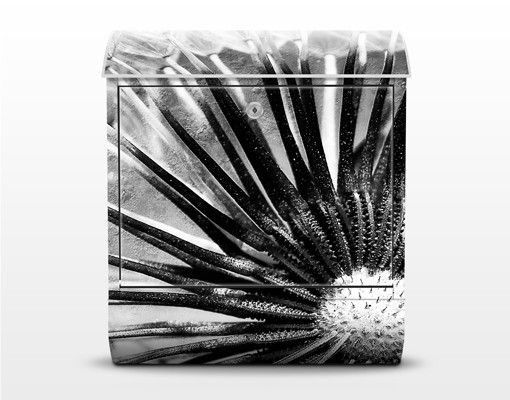 Letterbox - Dandelion Black & White