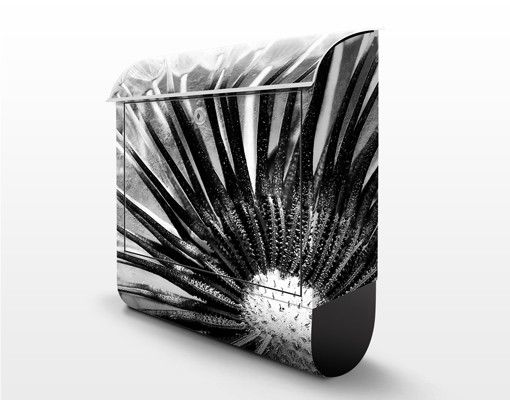 Letterbox - Dandelion Black & White