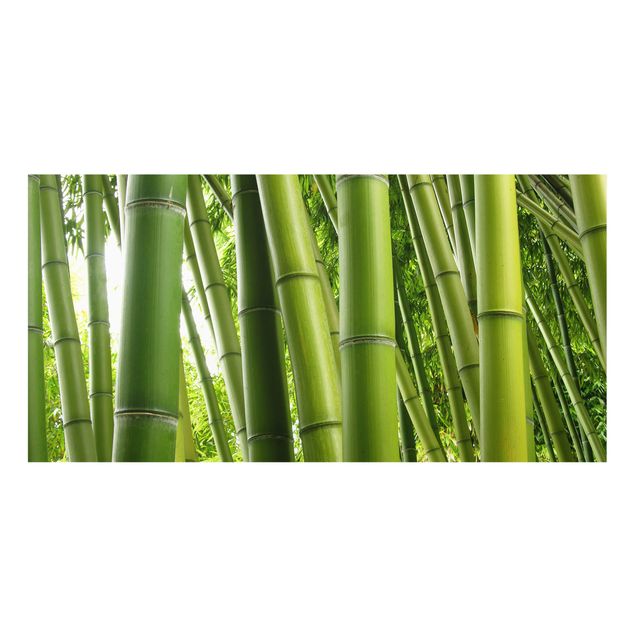 Splashback - Bamboo Trees
