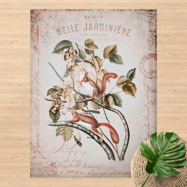 outdoor balcony rug Shabby Chic Collage - Squirrel