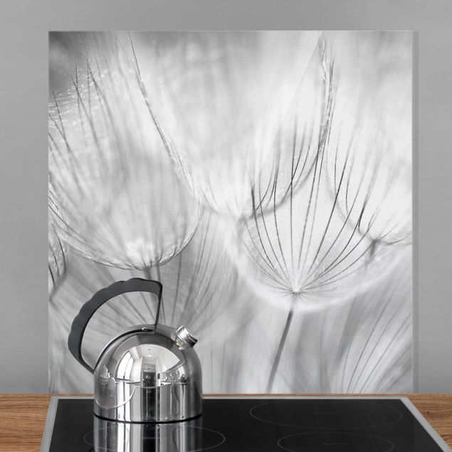 Glass splashback flower Dandelions Macro Shot In Black And White