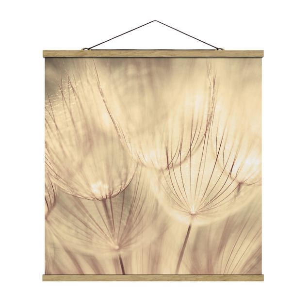 Fabric print with poster hangers - Dandelions Close-Up In Cozy Sepia Tones