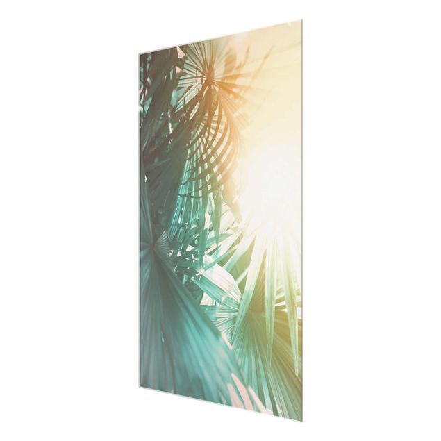 Glass print - Tropical Plants Palm Trees At Sunset
