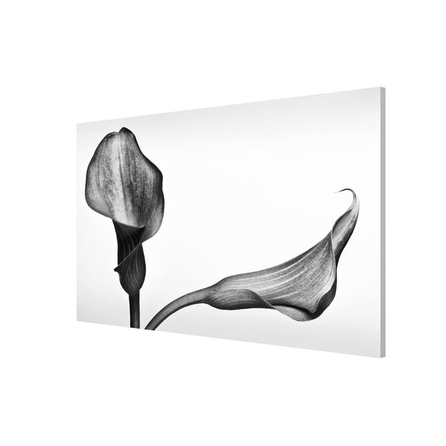 Magnetic memo board - Calla Close-Up Black And White