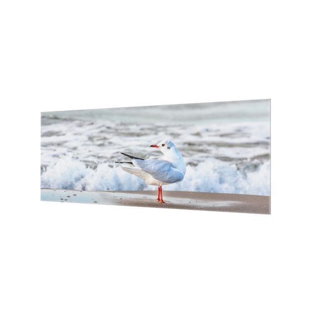 Glass splashbacks Seagull On The Beach In Front Of The Sea