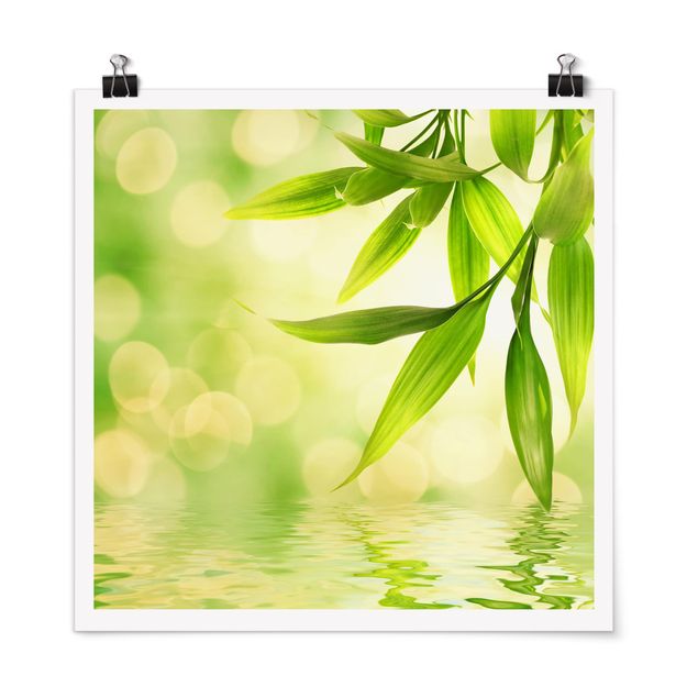 Poster - Green Ambiance I
