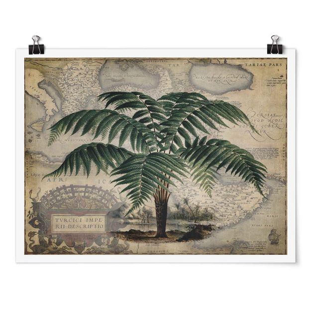 Poster - Vintage Collage - Palm And World Map