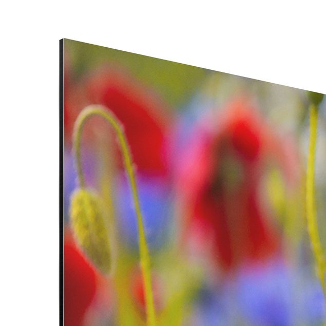 Print on aluminium - Summer Meadow With Poppies And Cornflowers