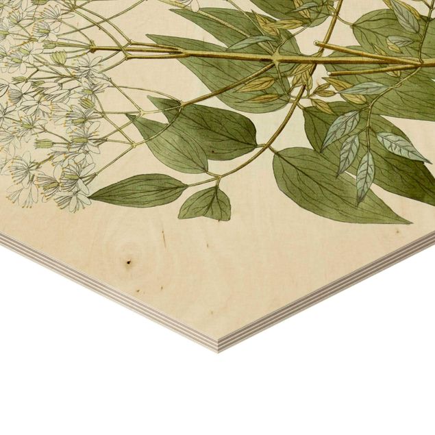 Wooden hexagon - Wild Herbs Board V