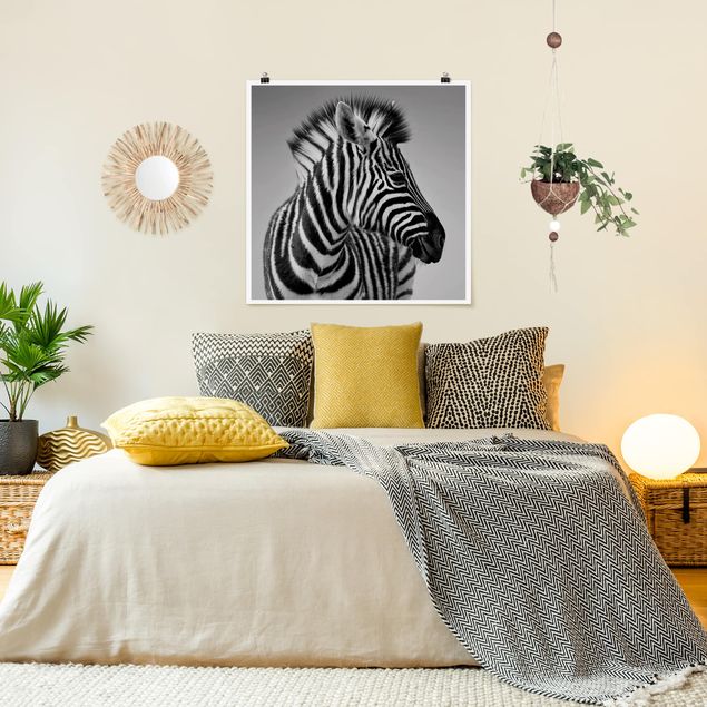 Poster - Zebra Baby Portrait II