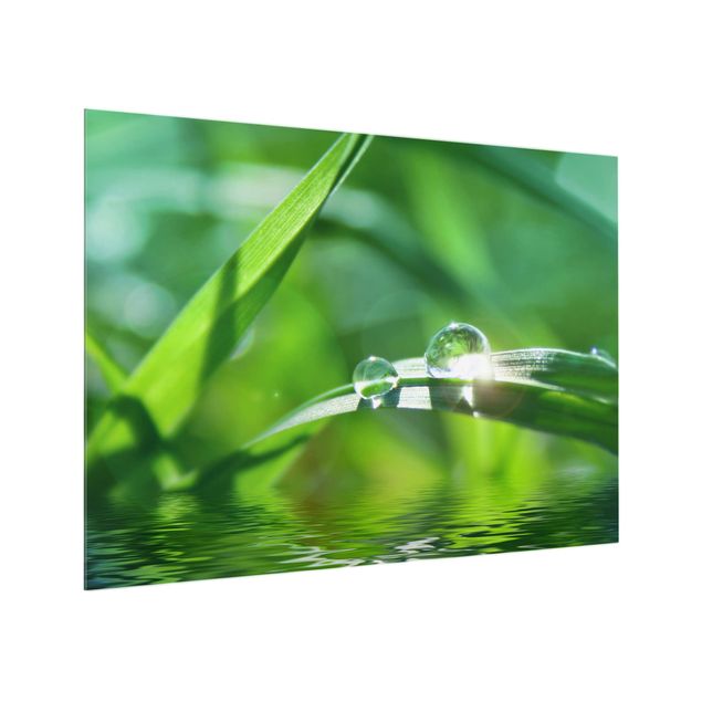Glass Splashback - Green Ambiance II - Landscape 3:4