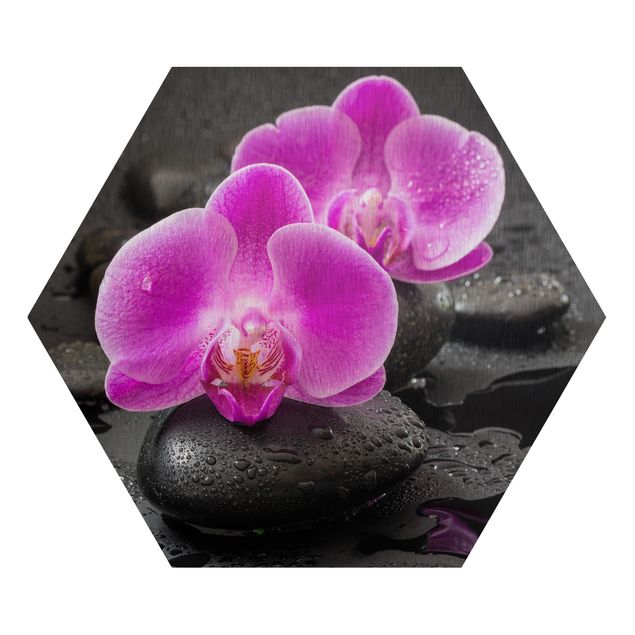 Alu-Dibond hexagon - Pink Orchid Flower On Stones With Drops