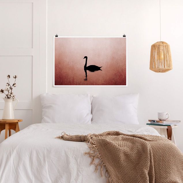 Poster - Swan In Sunset