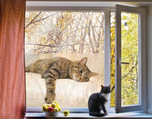 Window decoration - Cat Chill Out