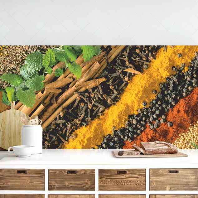Kitchen splashback spices and herbs Bands of Spices
