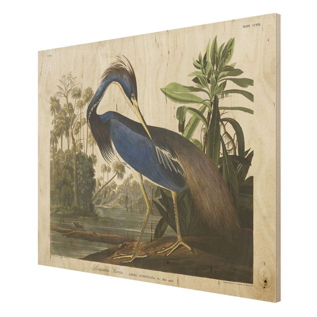 Print on wood - Vintage Board Louisiana Heron