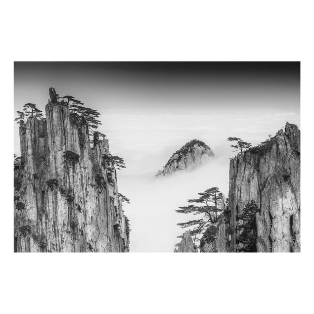 Splashback - Rocks In Fog In Black And White