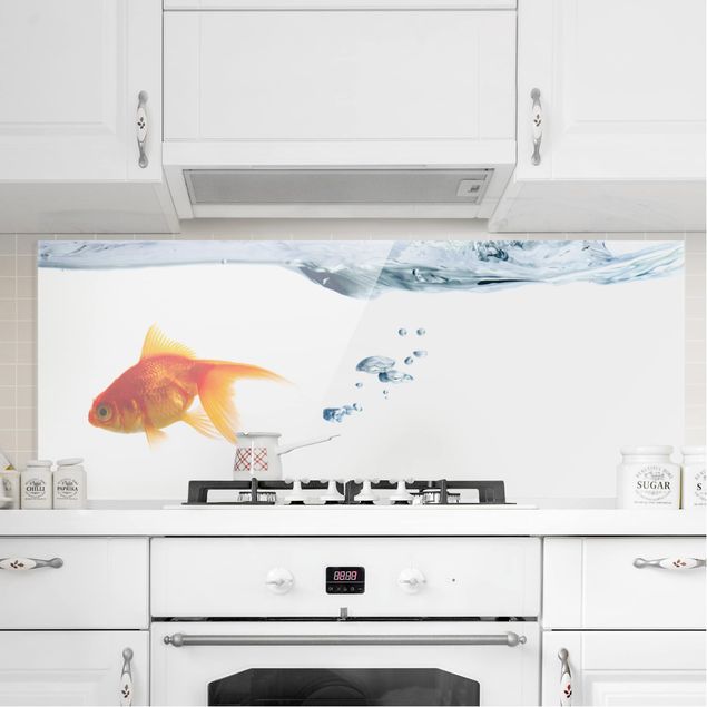 Glass splashback art print Goldfish