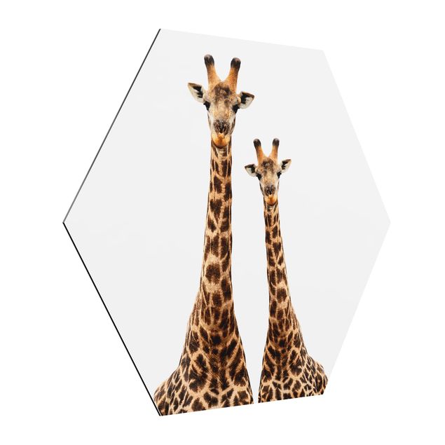 Alu-Dibond hexagon - Portait Of Two Giraffes