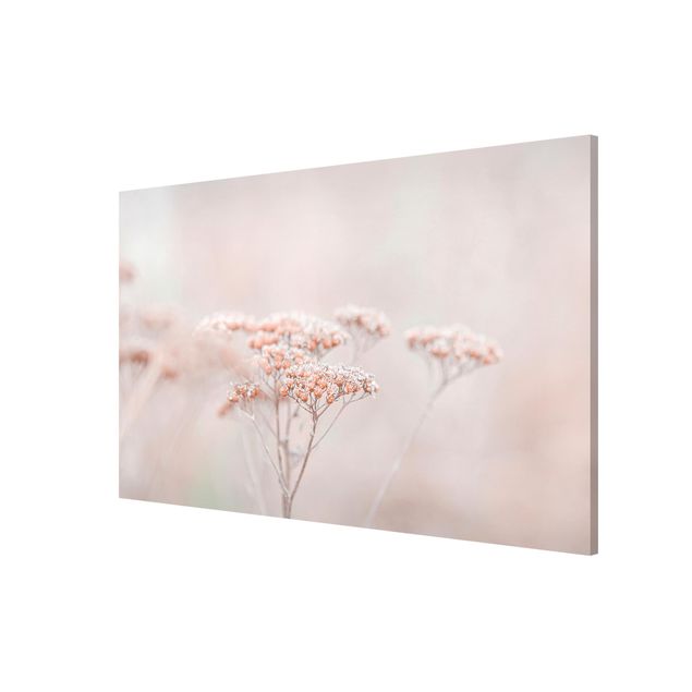 Magnetic memo board - Pale Pink Wild Flowers