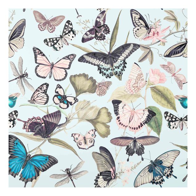 Glass splashback Vintage Collage - Butterflies And Dragonflies