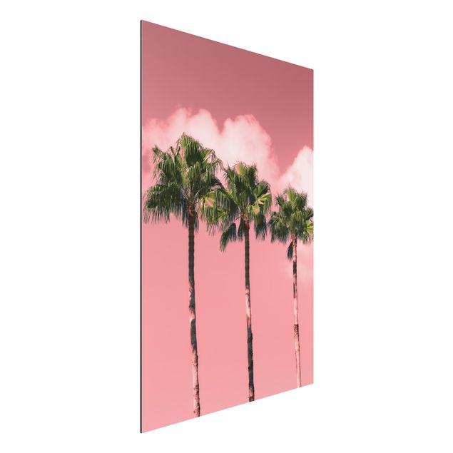 Alu dibond Palm Trees Against Sky Pink