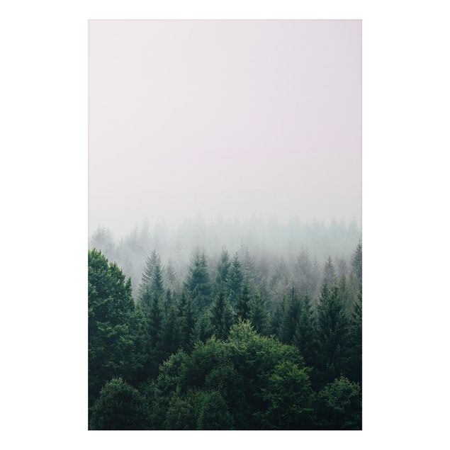 Print on aluminium - Foggy Forest Twilight