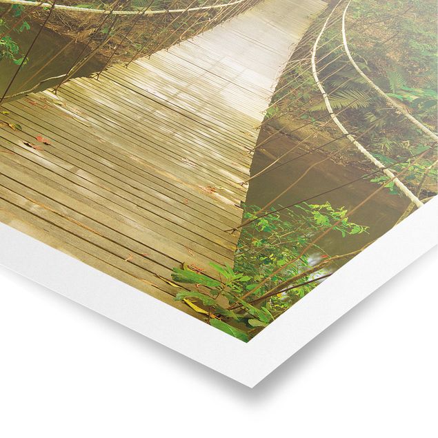 Poster nature & landscape - Jungle Bridge