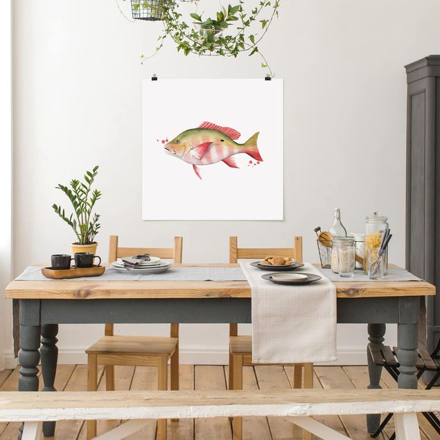 Poster - Color Catch - Northern Red Snapper