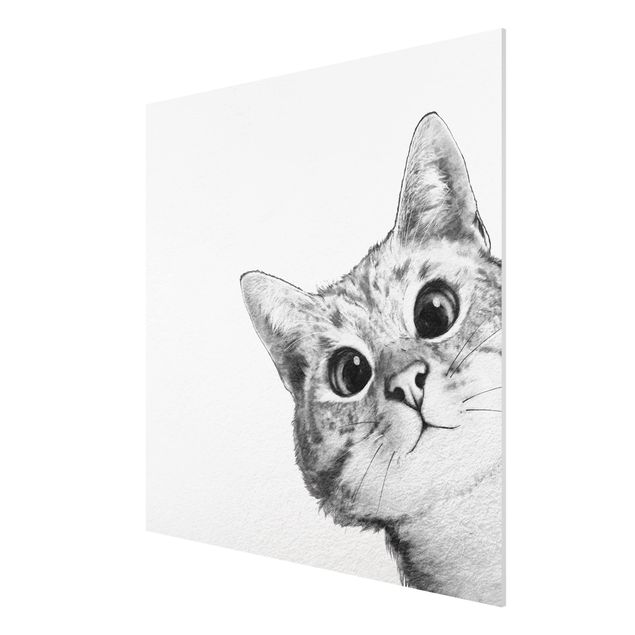Print on forex - Illustration Cat Drawing Black And White
