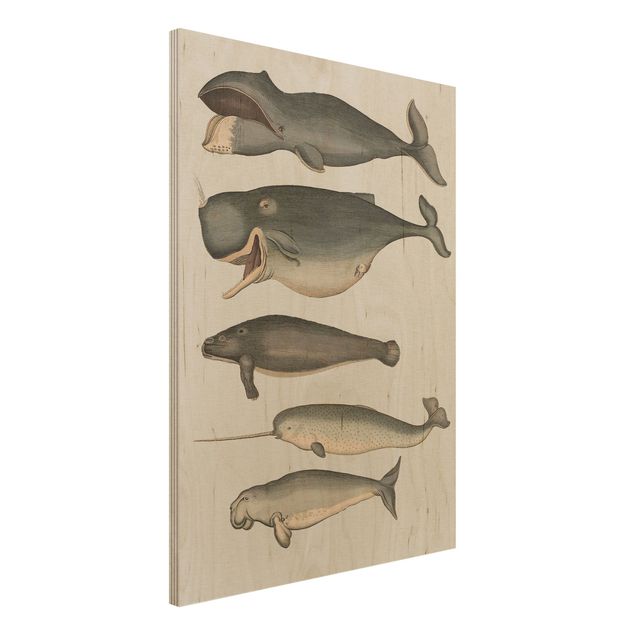 Print on wood - Five Vintage Whales
