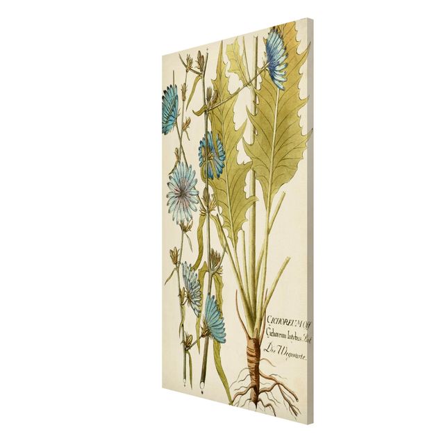 Magnetic memo board - Vintage Botany In Blue Chicory