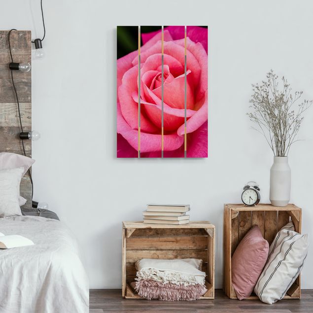 Print on wood - Pink Rose Flowers Green Backdrop