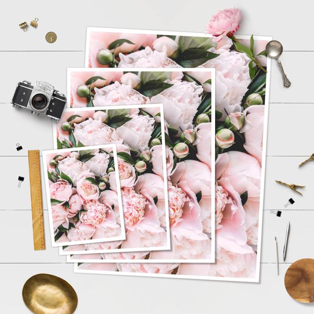 Poster - Pink Peonies With Leaves