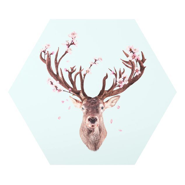Forex hexagon - Deer With Cherry Blossoms