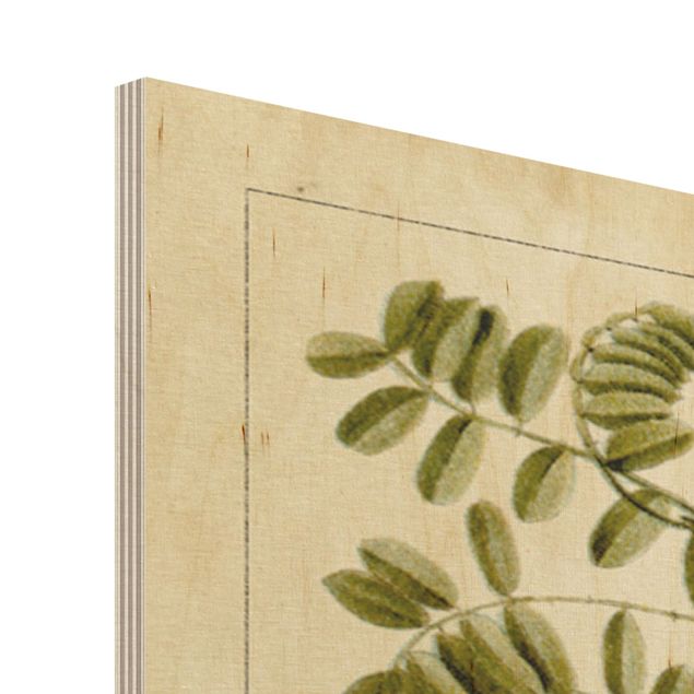 Print on wood - Vintage Board Tropical Botany I