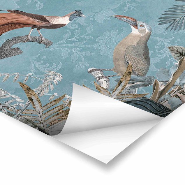 Poster - Vintage Collage - Birds Of Paradise