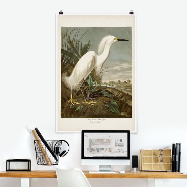 Poster - Vintage Board White Heron I