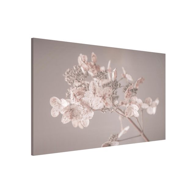 Magnetic memo board - Delicate White Hydrangea