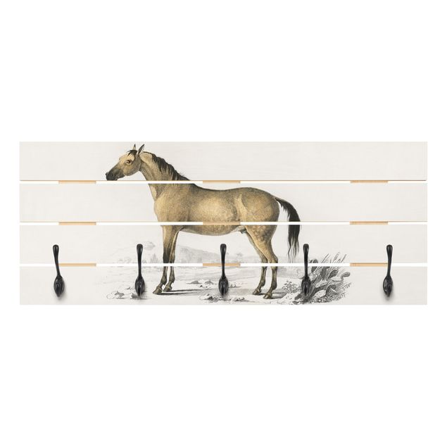 Coat rack - Vintage Board Horse