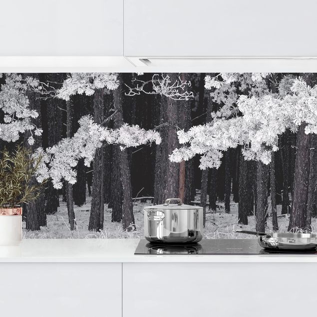 Kitchen splashback black and white Forest With Hoarfrost In Austria