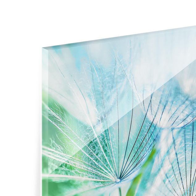 Glass Splashback - Abstract dandelion - Square 1:1