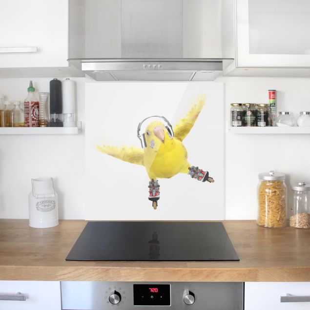 Glass splashback kitchen Skate Parakeet