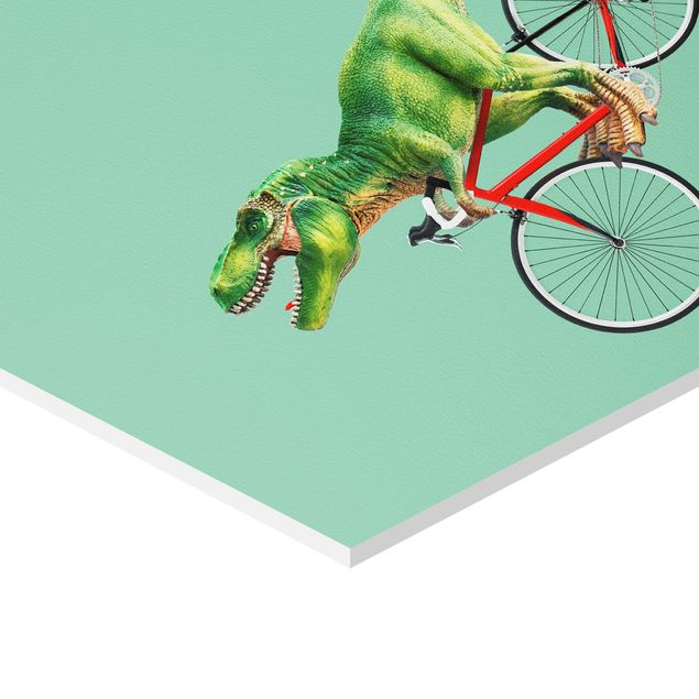 Forex hexagon - Dinosaur With Bicycle