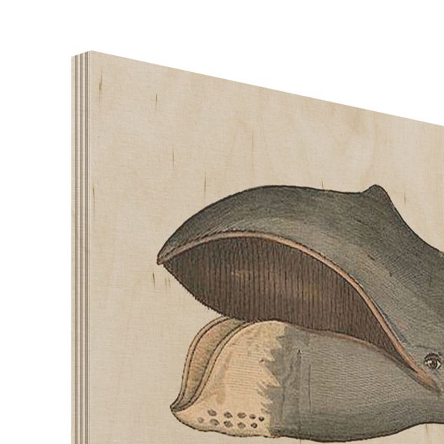 Print on wood - Five Vintage Whales