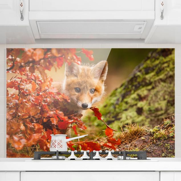 Glass splashback kitchen landscape Fox In Autumn