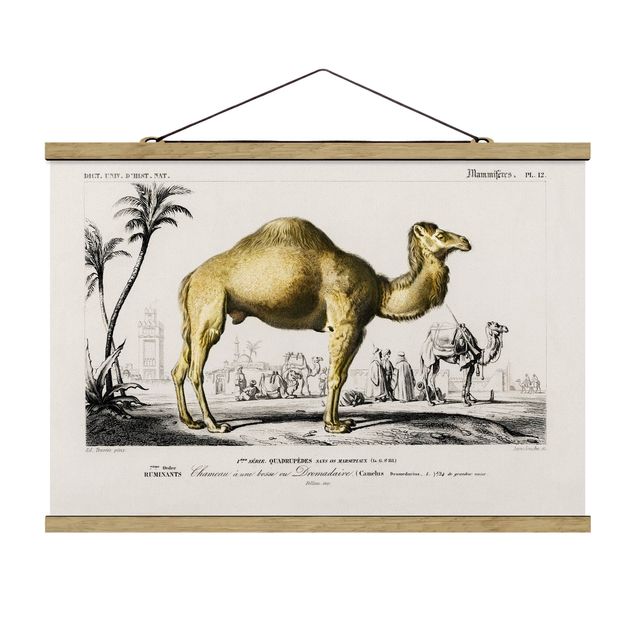 Fabric print with poster hangers - Vintage Board Dromedary